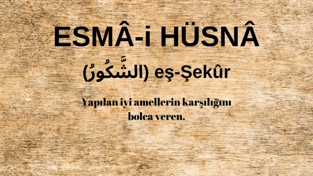 Esmaü’l Hüsna eş-Şekûr (الشَّكُورُ) İsm-i Şerifi Fazilet ve Anlamı